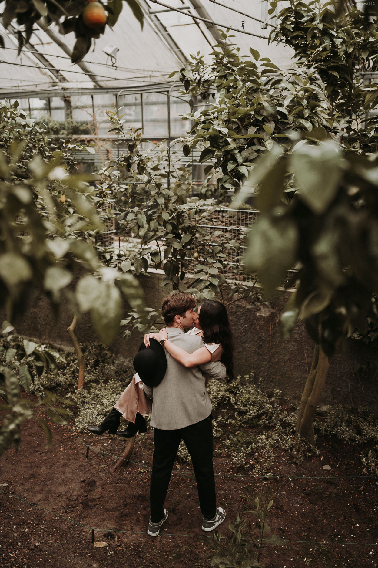 ZAPAROWANA - Fotograf ślubny - Sesja narzeczeńska w Ogrodzie Botanicznym Warszawa