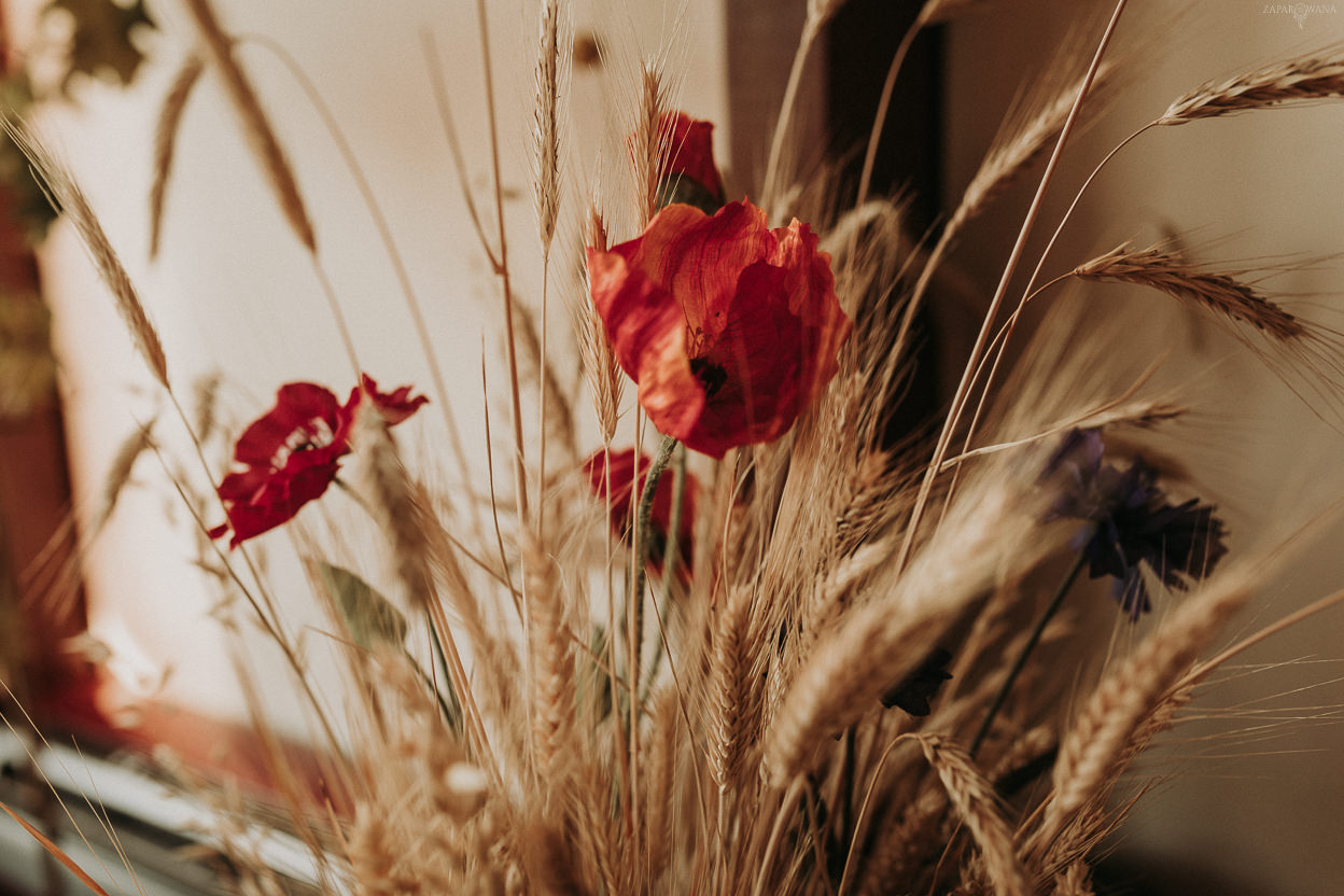 ZAPAROWANA - Fotografia ślubna Warszawa - Ślub boho Mazury